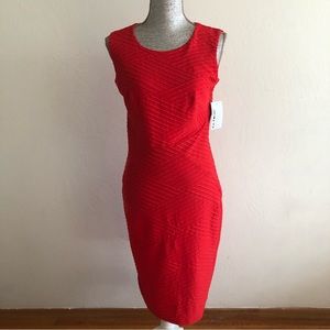 Enfocus Studio Red Fitted Midi Dress